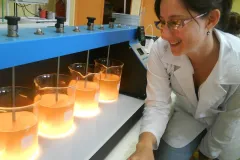 Proyecto en laboratorio