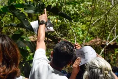 Apertura del Simón Bolívar