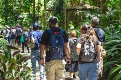 Apertura del Simón Bolívar