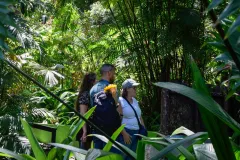 Apertura del Simón Bolívar