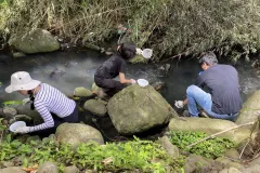Fotografía de la actividad