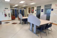 ifi