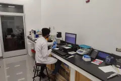 ifi