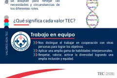 cápsula 10