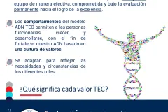 cápsula 13