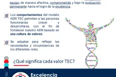 cápsula 16