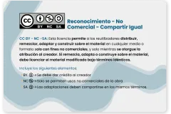 Tipo 7