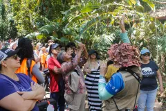 Apertura del Simón Bolívar