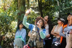 Apertura del Simón Bolívar