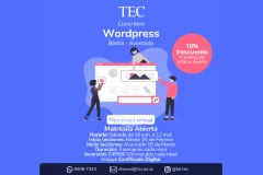 WordPress Básico y Avanzado