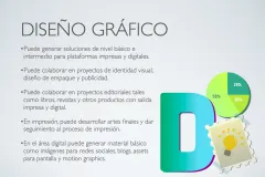 Técnico en Diseño Gráfico.9