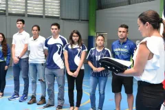 Entrega de bandera