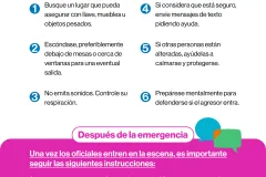 protocolo persona armada