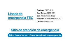 protocolo persona armada