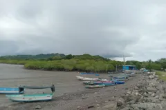 Fotografía de la actividad