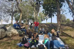 Comunidad1