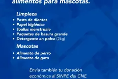 Kits de limpieza