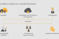 Infografia