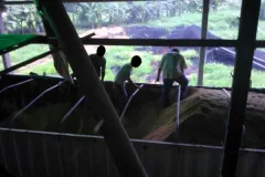 Ingeniería en Seguridad Laboral e Higiene Ambiental - Proyecto