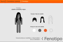 Ejemplo de cómo funciona la aplicación