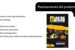 Proyecto Web