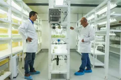 dos investigadores en un laboratorio