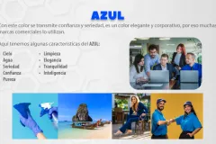 Técnico en Diseño Gráfico 5