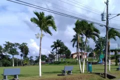 Fotografía