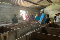 fermentador de cacao