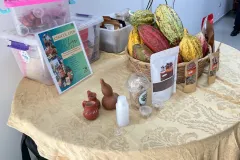 productos de cacao
