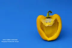 Fotografía