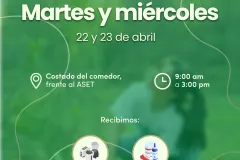 martes y miércoles
