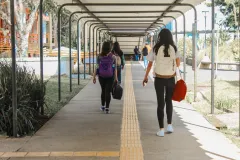 Imagen de varios estudiantes en los pasillos del TEC