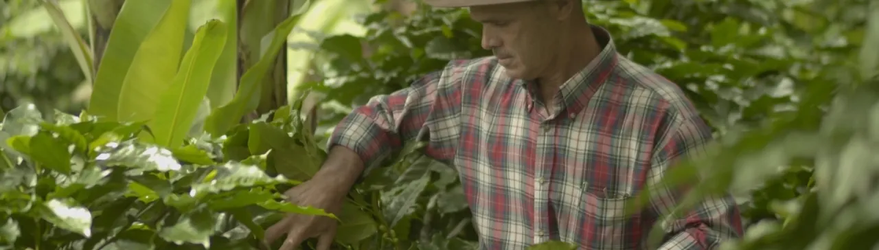 Matemáticas amigables: TEC lanza libros interactivos para primaria