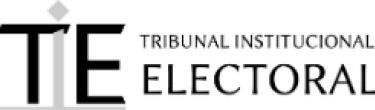 Logo Tribunal Institucional Electoral