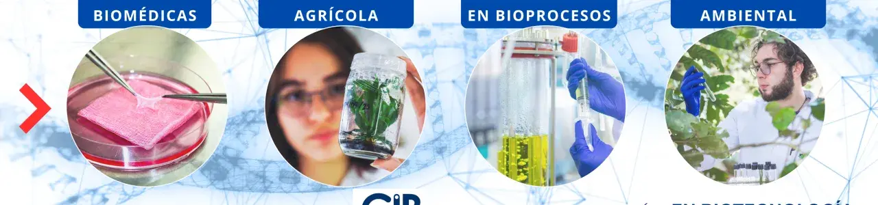 Centro de Investigación en Biotecnología (CIB)