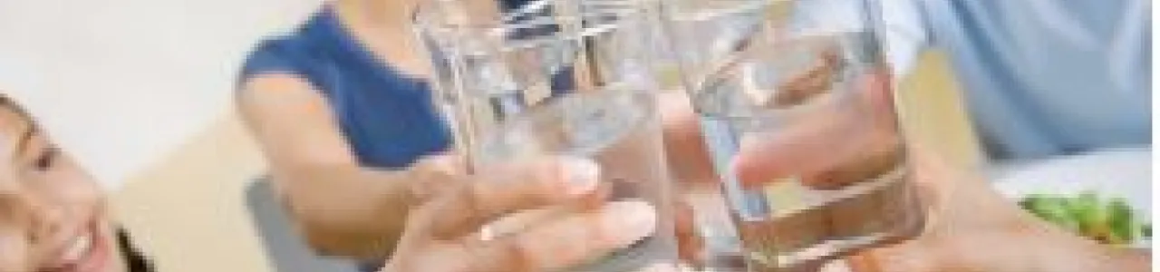 Implementación de un biofiltro para la biorremediación de nitratos en agua para consumo humano del Cantón Central de Cartago en la naciente La Misión.