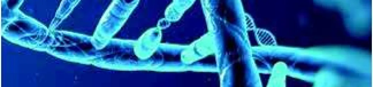 Evaluación de proteínas humanas de interés biomédico mediante espectroscopia.