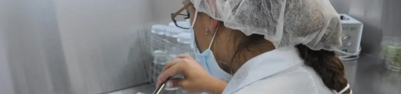 Investigadora realizando pruebas de laboratorio