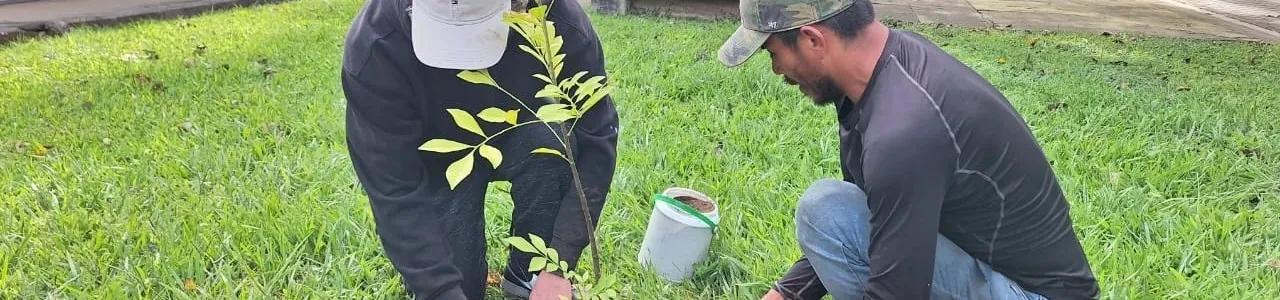 Fotografía de la actividad