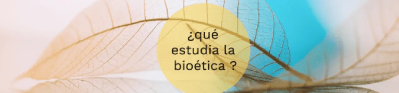 Ilustración