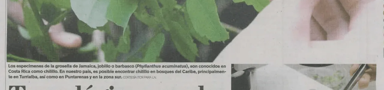 Noticia