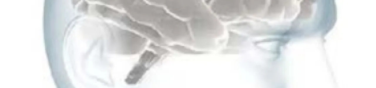 Capacidad de absorción de las pequeñas y medianas empresas y su importancia en el aprovechamiento de los derrames de conocimiento desde las empresas multinacionales en Costa Rica.