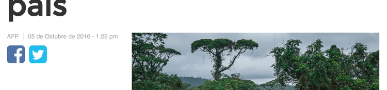 cambio climático en los árboles de Costa Rica