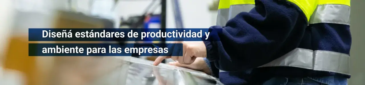 Diseñá estándares de productividad y ambiente para empresas