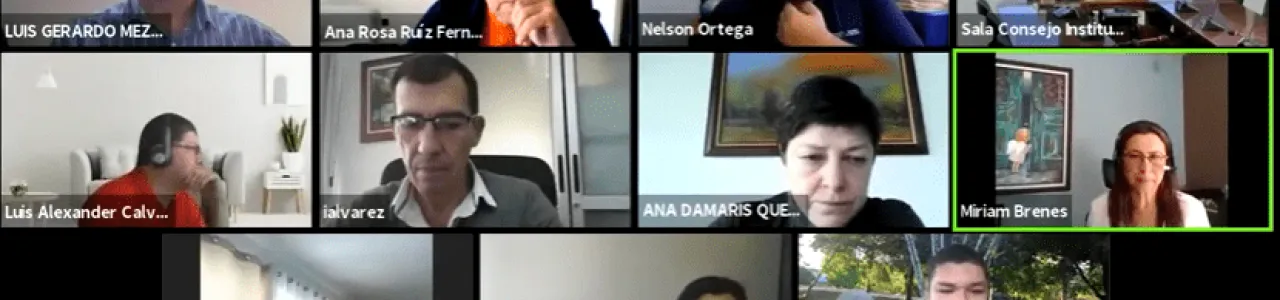 consejo