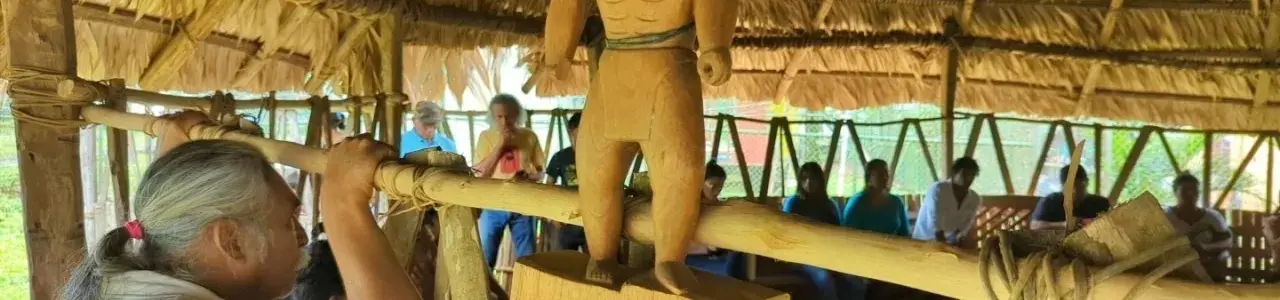 Indigenas