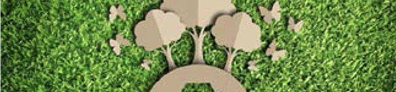 Producción de enmiendas carbono neutro utilizando alternativas de saneamiento para recuperar y conservar el suelo