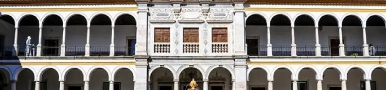 Universidad