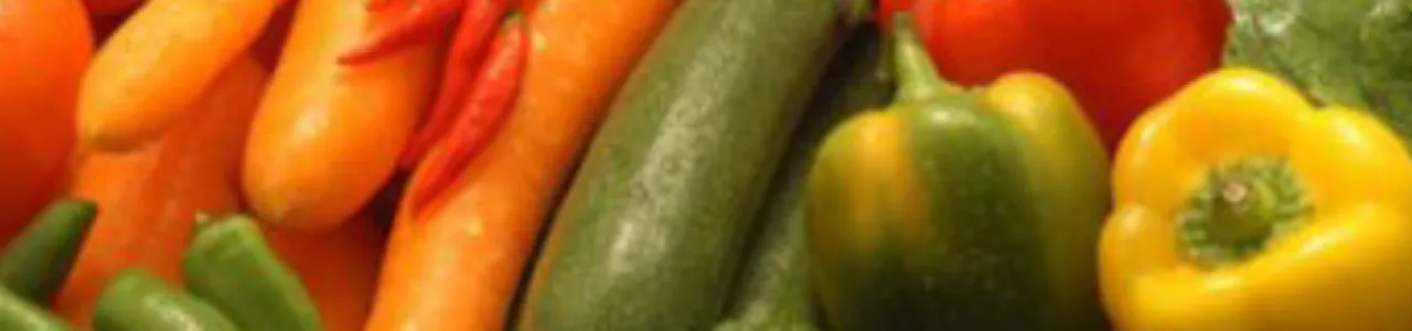 Evaluación de alternativas frutícolas amigables con el ambiente para contribuir al desarrollo sostenible de la zona norte de cartago